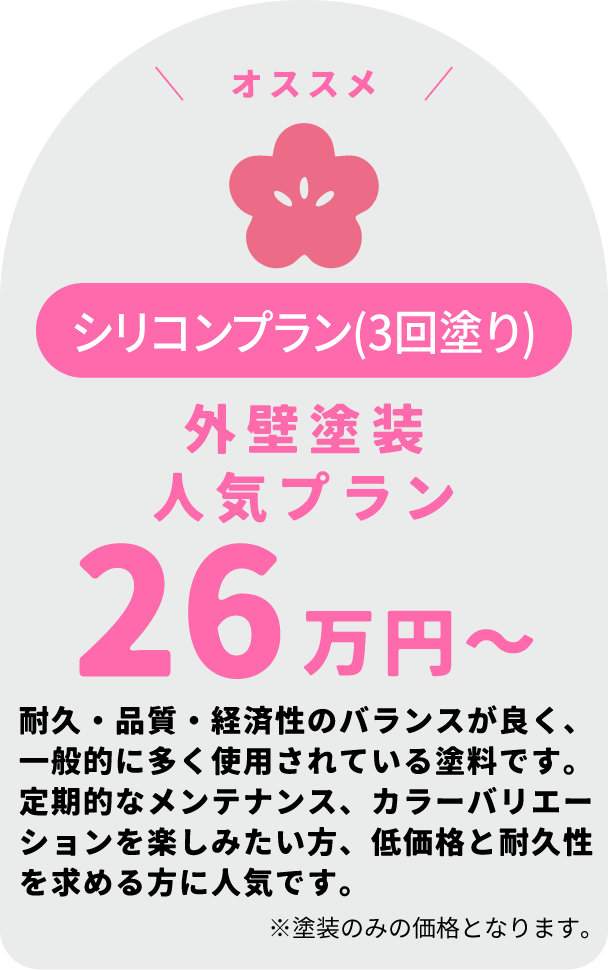 シリコンプラン(3回塗り)