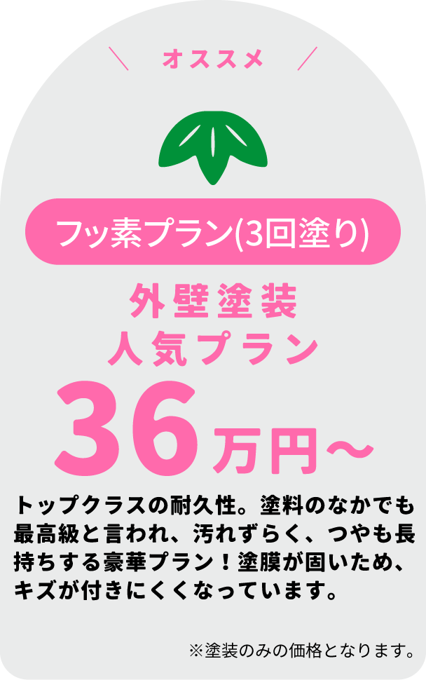 フッ素プラン(3回塗り)